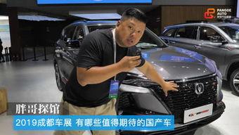 皮哥小号黑国产车视频,皮哥小号视频深度剖析