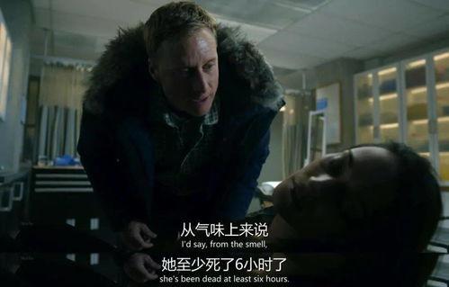 国产恐怖沙雕视频大全,惊悚与笑料并存，带你领略另类恐怖魅力