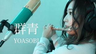 国产长笛安装视频大全集,视频大全集精华解析